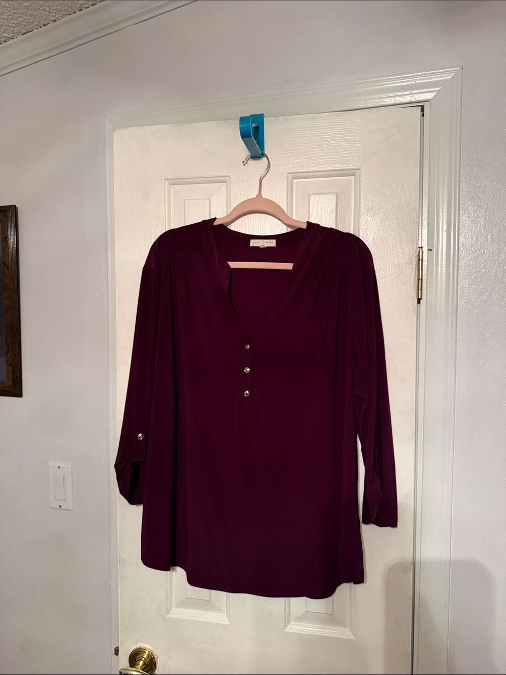 Women's V-Neck Button Front Blouse in Plum